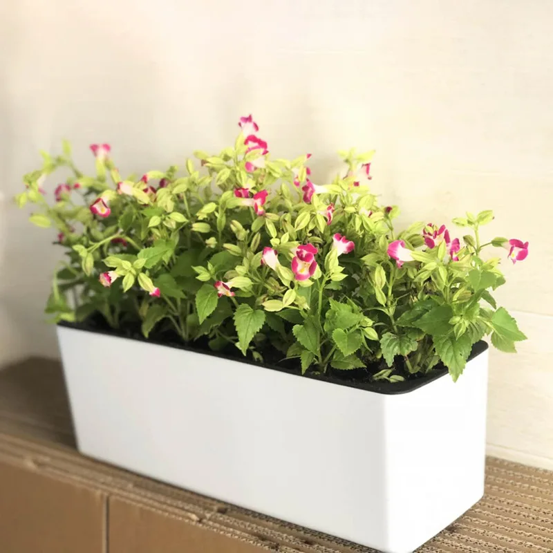 

New Creative Rectangular Resin Crafts Automatically Absorb Water Lazy Flowerpot Balcony Garden Can Hang Planter Home Decorations