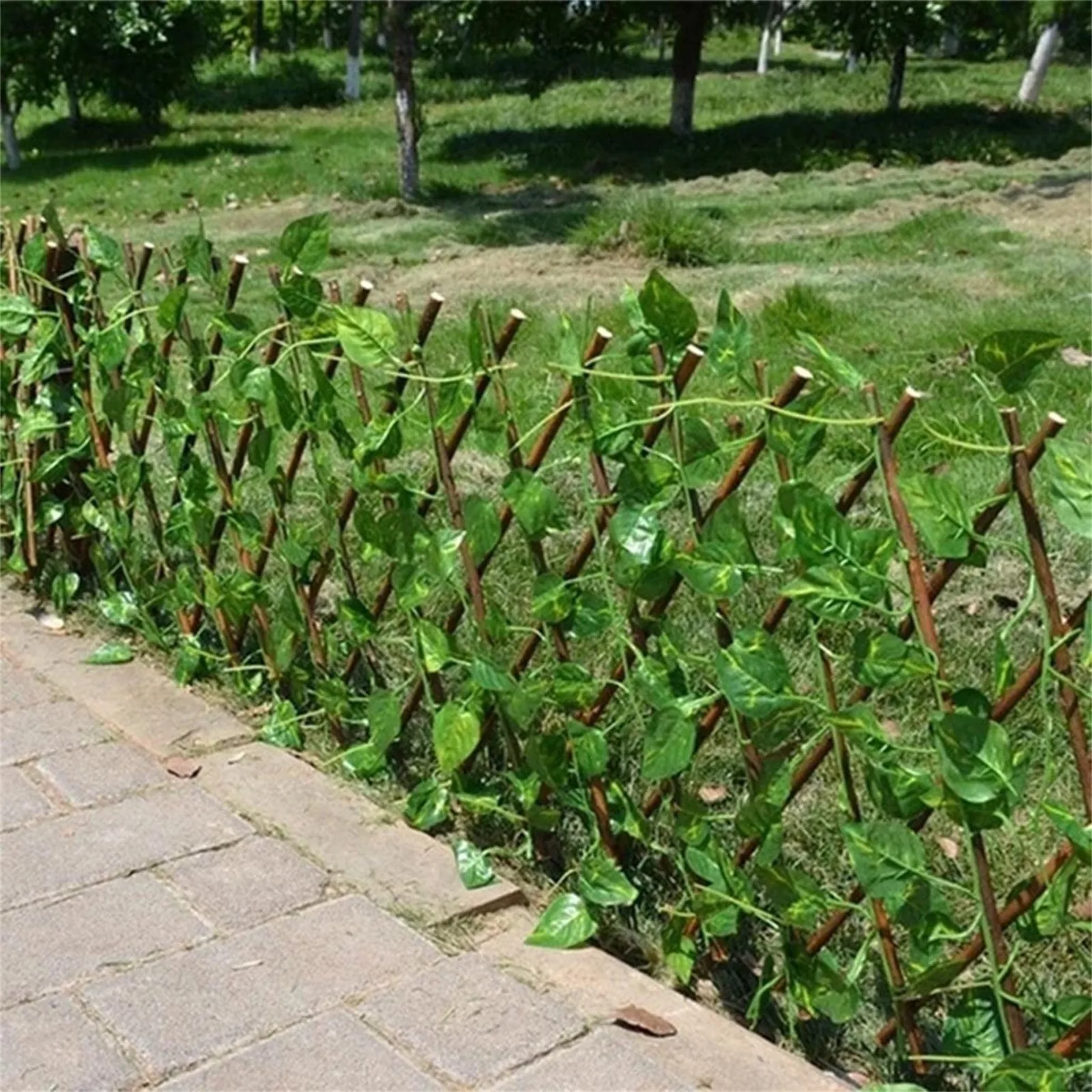 Живая Изгородь Для Забора Купить