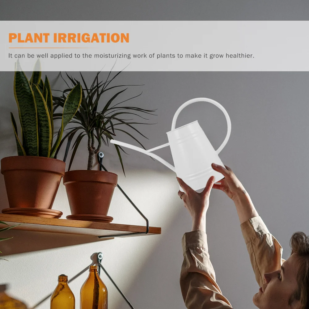 

1pc Simple Watering Kettle Watering Pot Watering Kettle With Long Spout