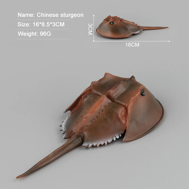 Морской животный организм Подкова Краб тахиплей tridentatus ПВХ моделирование модель
