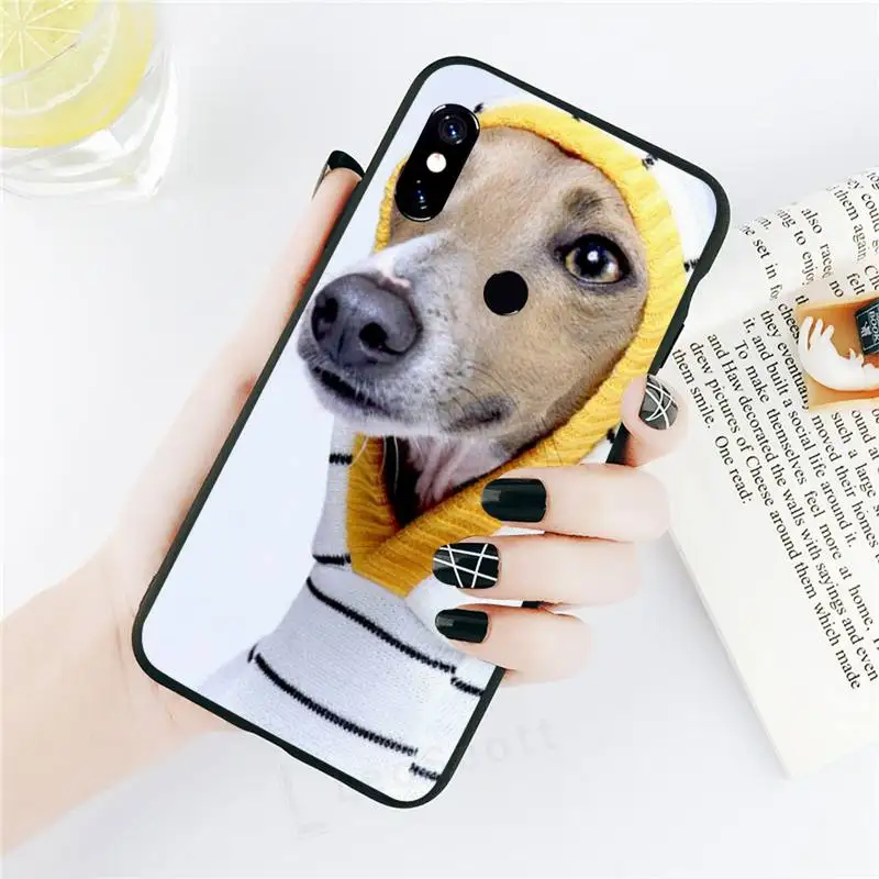 

Galgo Greyhound Dog Anti-fall cover luxury Phone Case coque For Xiaomi Redmi note 7 8 9 t k30 max3 9 s 10 pro lite