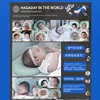 Изображение товара 1