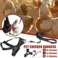 adjustable chicken harness hen size with 6ft matching leash resilient and comfortable breathable vest for chicken duck dog cat