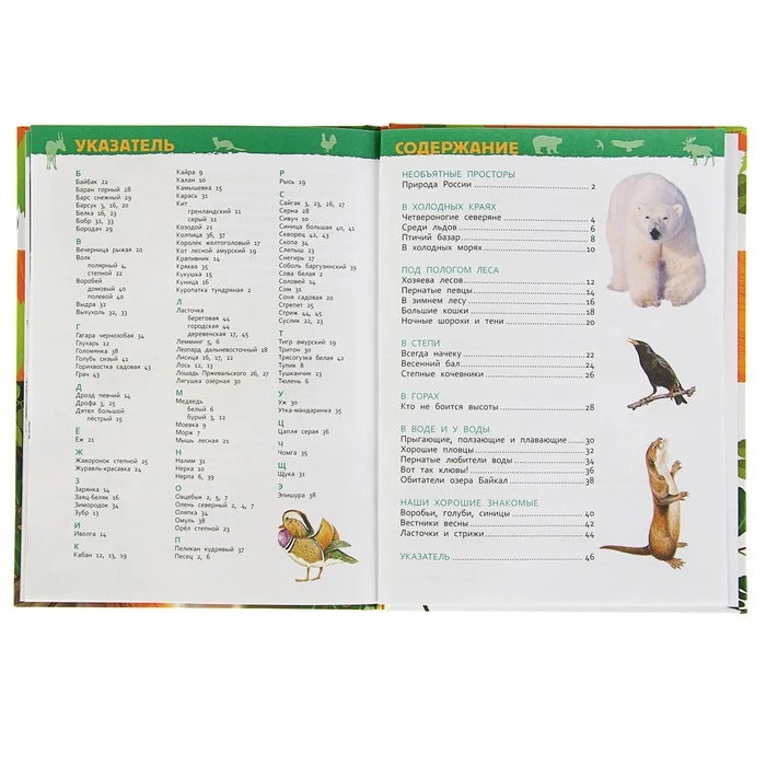 Энциклопедия для детского сада Животные России 2830904 |