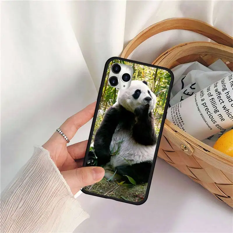 

Asian Baby Panda Bear China Phone Case for iPhone 11 12 Pro X XS Max Mini XR 7 8 Plus SE 2020 Samsung S9 10 20 A51 Plus Ultra