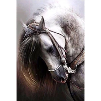 5d diy diamond mosaic painting cross stitch horses daimond painting animal pictures of rhinestones diamant embroidery home decor