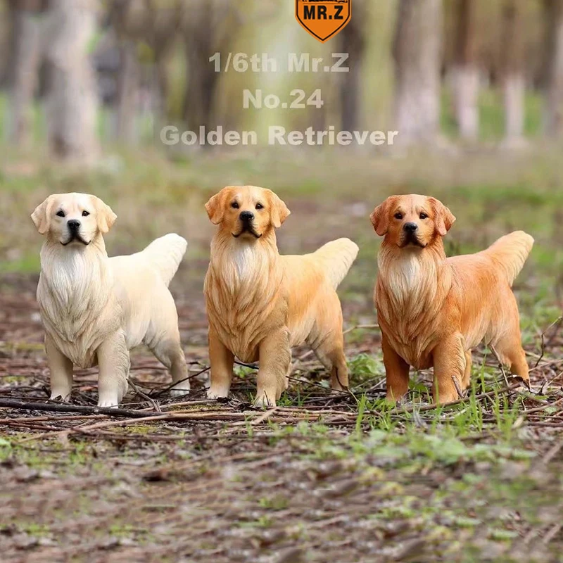 

Golden Retriever Animal Dog Model Toy for 12'' Action Figure Mr.Z 1/6 Scale Solider Figure Scene Accessories Collections