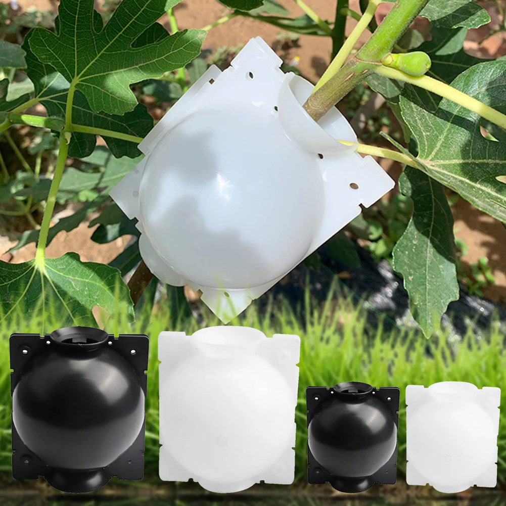 

5Pcs 5/8cm Case Plant Root Box Garden Pressure Propagator Root Growing Box Breeding Grafting Rooting For Garden In Diameter