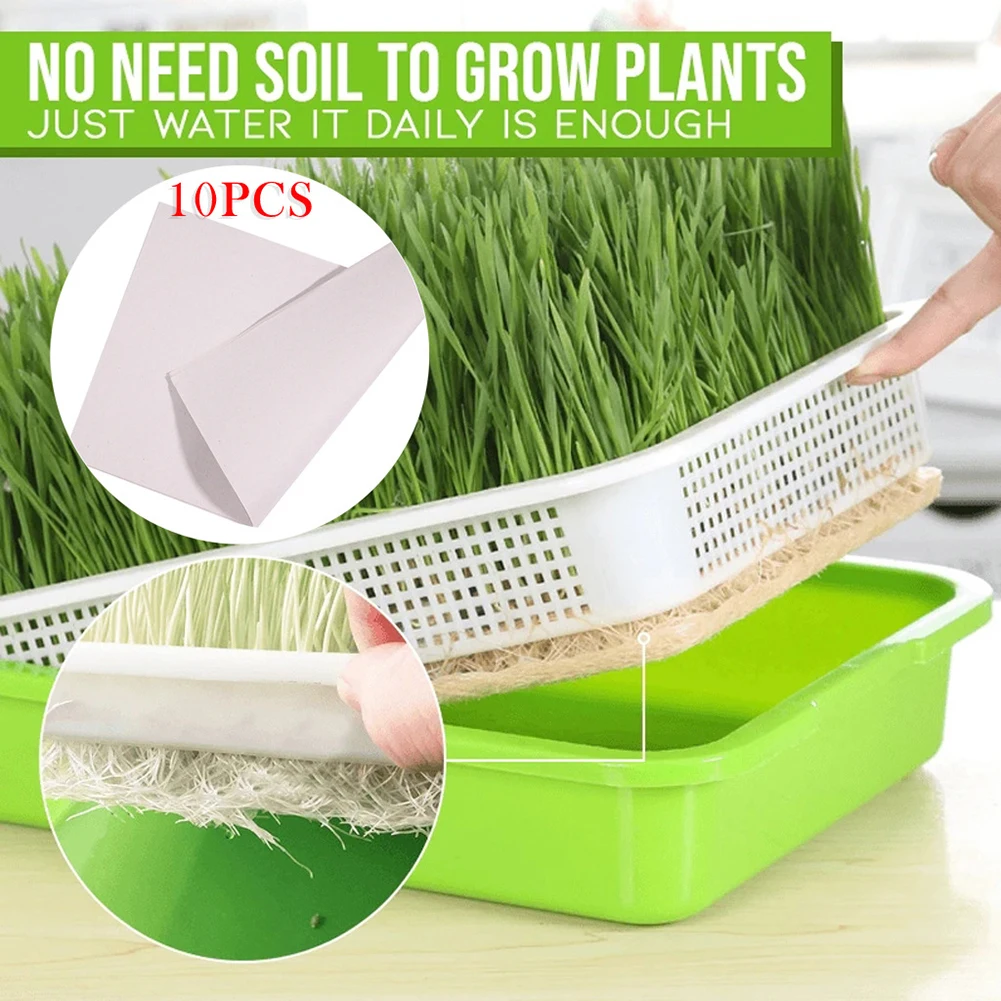 

Bean Sprouts Double-layer Dishes Plate Seedling Tray Plastic Hydroponic Flower Basket Flower Plant Home Garden Nursery Pots
