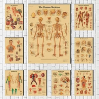 human anatomy muscles system art poster print body map kraft paper wall pictures for education home decor