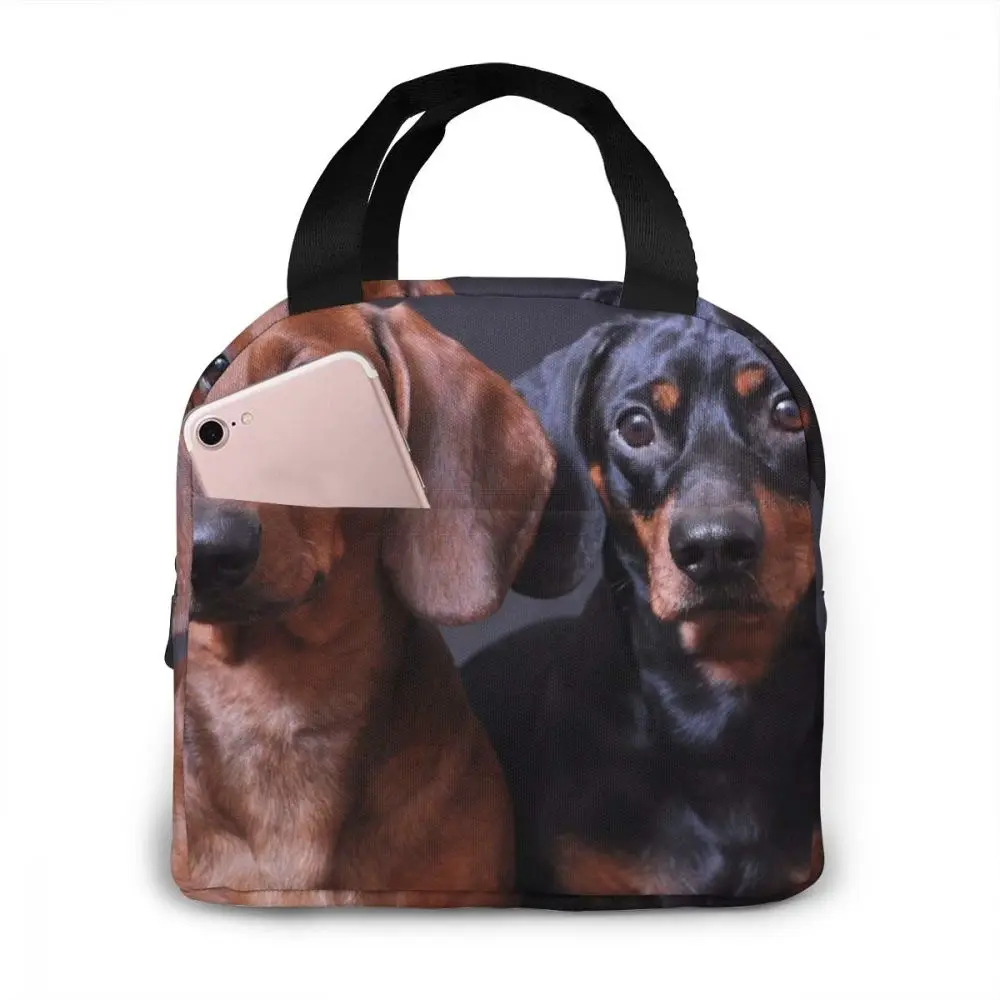 

Cute Dachshund Dogs Cooler Bag Portable Zipper Thermal Lunch Bag Convenient Lunch Box Tote Food Bag