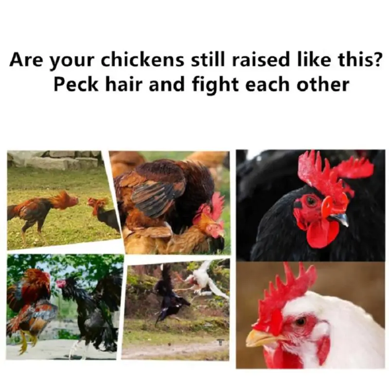 

Chicken Farming Equipment Pheasant Chicken Goggles Cock Glasses Laying Hens Pheasant Anti-pecking Glasses Cockfighting TSLMJ
