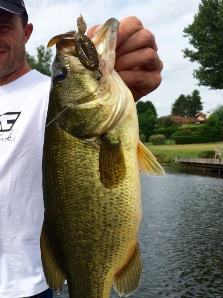 ESFISHING рыболовная приманка мягкая Leurre Souple Platypus 6 шт. 100 мм 9 г искусственная Crankbait Iscas