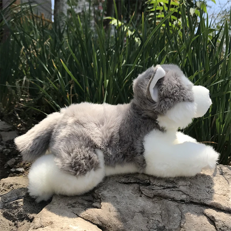 AURORA Simulation Puppy Dog Plush Toys Kid Model Dolls Husky Alaskan Malamute Sheepdog Chihuahua Stuffed Soft Children Gift | Игрушки и