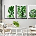 Настенная картина в скандинавском стиле, холст с принтом растений, Современное украшение для дома, постер с тропическими листьями монстеры и зелеными растениями