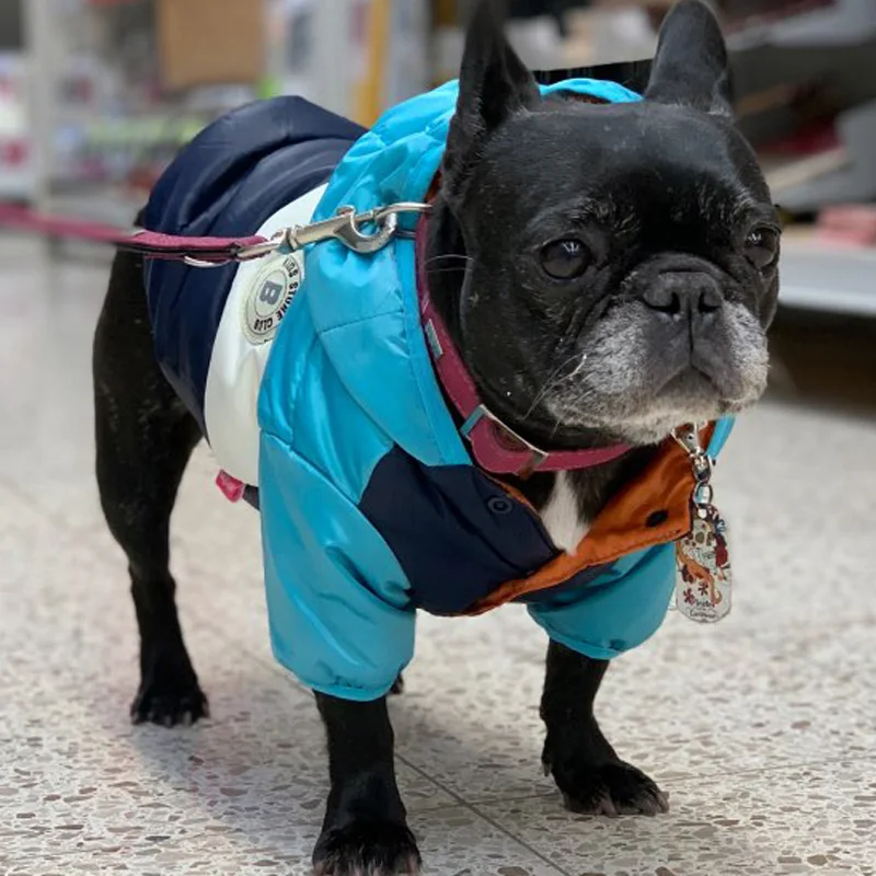 

Waterproof Big Dog Down Jacket Winter Warm Dog Clothes for Small Medium Large Dogs French Bulldog Pug Hooded Coat Pets Clothing