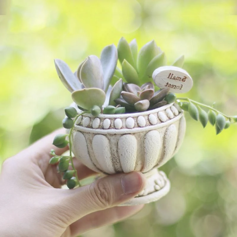 Силиконовая мини форма для растений суккулентов|Глиняные формы| |