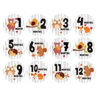 for memory baby pregnant women monthly photograph sticker fun month 1 12 milestone stickers h9ef