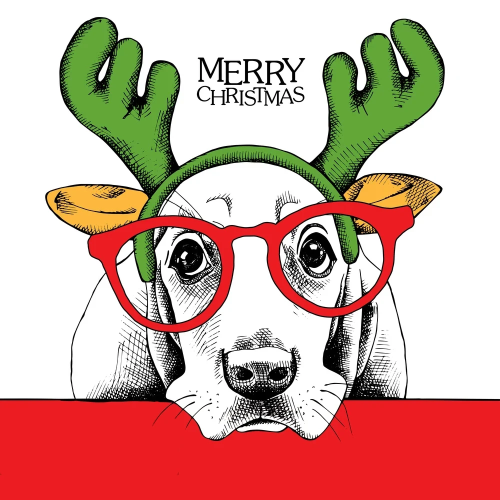 AZSG милые рождественские прозрачные штампы с животными собаками совами для