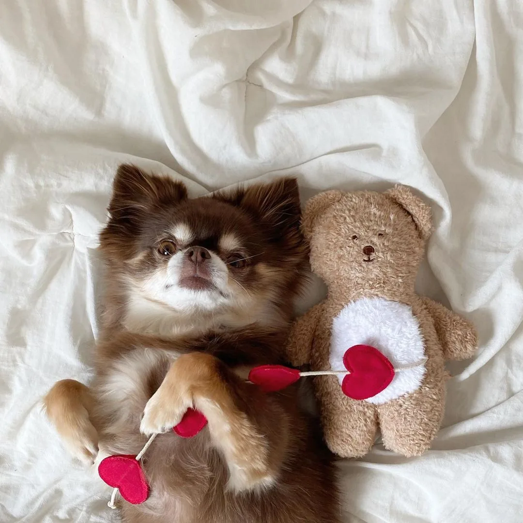 

Squeaky Plush Pet Dog Toys New Cute Feed Panda Dog Toy Fidget Small Dogs Interactive Pocket Tibetan Food Chihuahua Puppy Toys