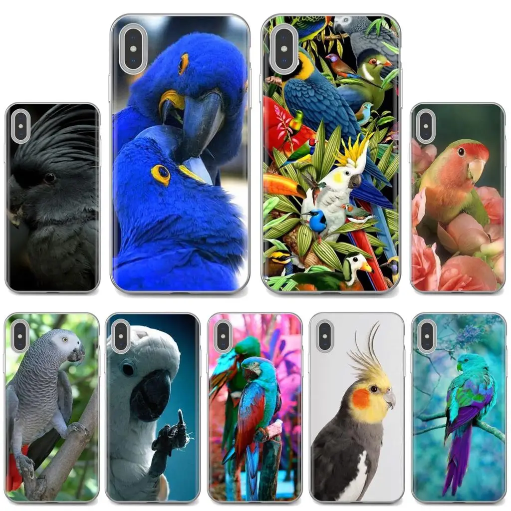 

For iPhone iPod Touch 11 12 Pro 4 4S 5 5S SE 5C 6 6S 7 8 X XR XS Plus Max 2020 Soft TPU Case Garden flower Bird Ringneck Parrot