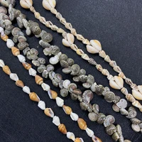 natural shell small conch beads irregular shape shell beads for jewelry making diy necklace bracelet accessories jewelry