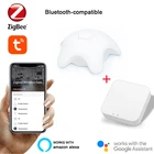Датчик утечки воды Zigbee, Wi-Fi, приложение Tuya Smart Life