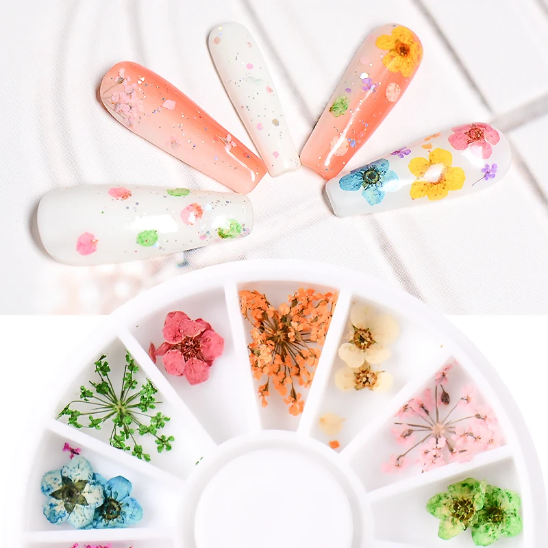 12 Colors Dried Flower for Nail Art Decorations Natural Real Flowers Dry Stick UV Gel Acrylic Tips Wheel | Красота и здоровье