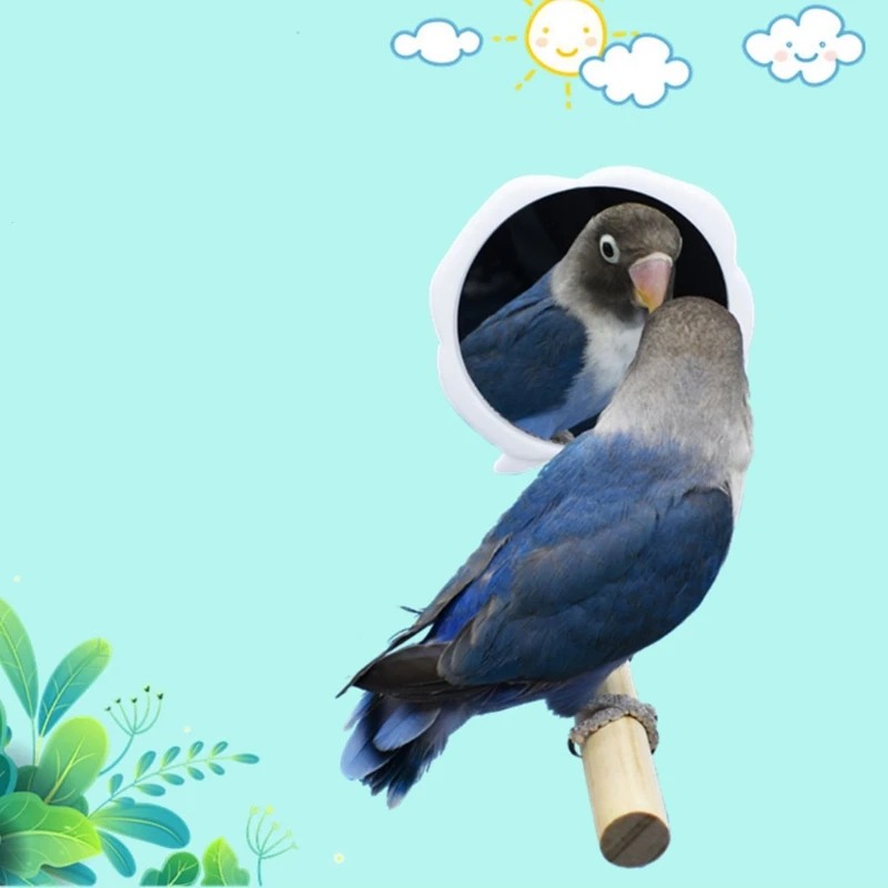 Parrot Perch Triangle Frosted Hen Stand Wood Table Top Play Toy for Hens Handmade Swing Bird Large With Mirror | Дом и сад