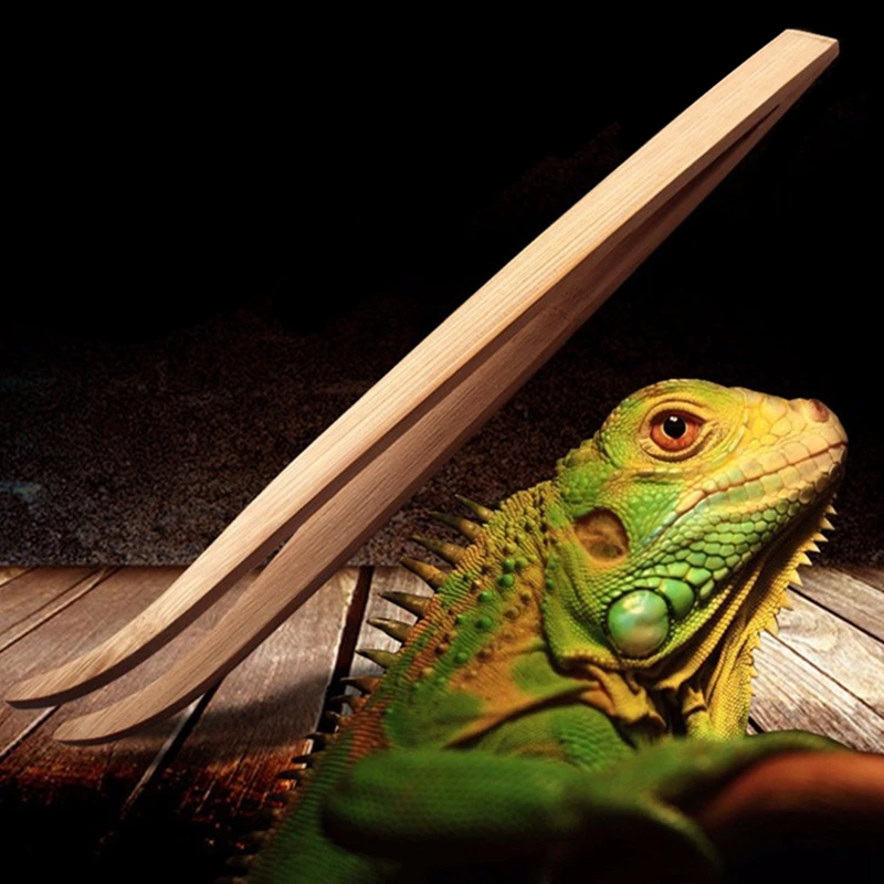 

B2RB Angled Reptile Feeding Tongs Tweezers 28cm Bamboo Eco-Friendly Feeding Tool New