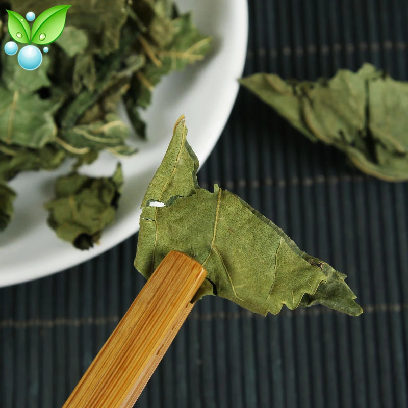 Листья тутового шелкопряда листья Gan Sang Ye прозрачные легкие и увлажняют сухость |