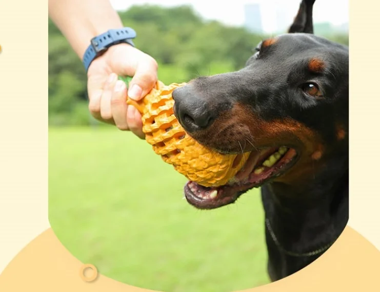 

Soft Pet Dog Toys Toy Funny Interactive Elasticity Ball Dog Chew Toy For Dog Tooth Clean Ball Food Almighty Bite Resistant Toys