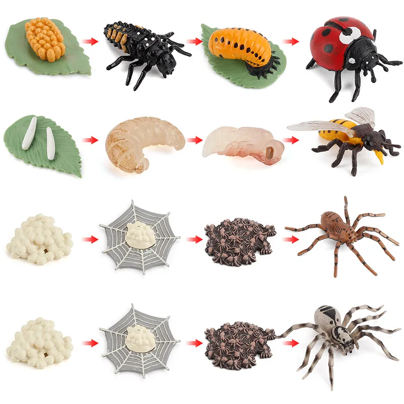 

Newest Simulation Animals Growth Cycle Model Bee Spider Butterfly Action Figures Figurine Cute Kids Baby Toy Figures Educational