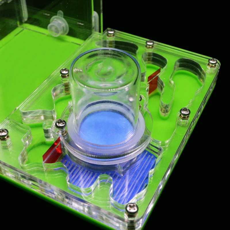 DIY Acryl Ant Farm Flat Ant Nest Ant House for Pet Anthill Glass Moisturizing Water Tower Workshop Feeding Area 12*15*7.5cm
