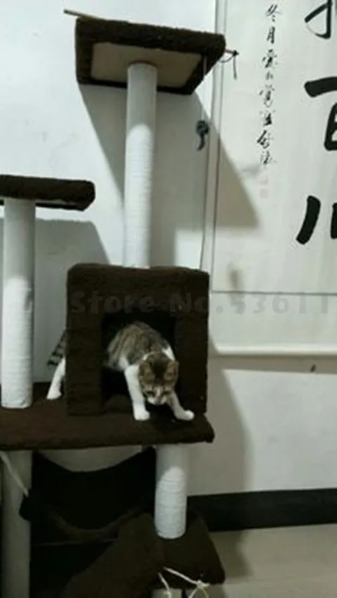 Кошачья полка для скалолазания кошачье гнездо когтеточка Кошка дерево кошачий домик кошка прыгающая платформа кошачья игрушка кошка скалолазание дерево