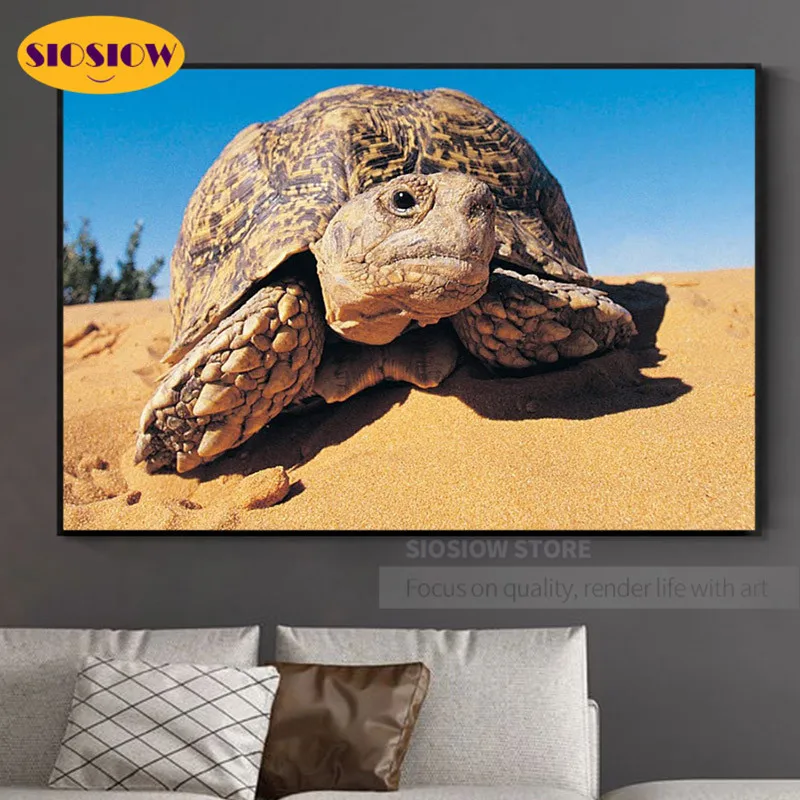 Алмазная 5D картина сделай сам полноразмерная Мозаика из страз пустыня черепаха