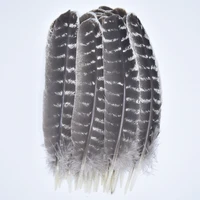 50pcslot real natural eagle feathers eagle bird feathers for crafts feather decor craft feathers decoration carnaval assesoires