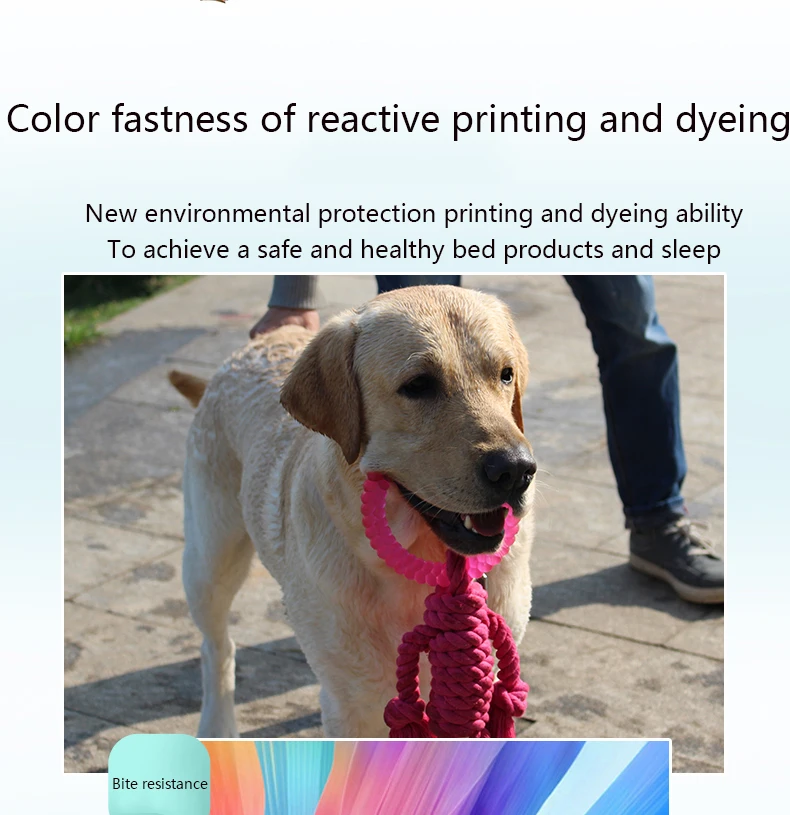 Игрушки для домашних животных, Outsize, взаимное действие, Alpinia Oxyphylla, тренировочный канат, Золотой клей, молярный зуб, палочка, чистые зубы, укус, товары для собак