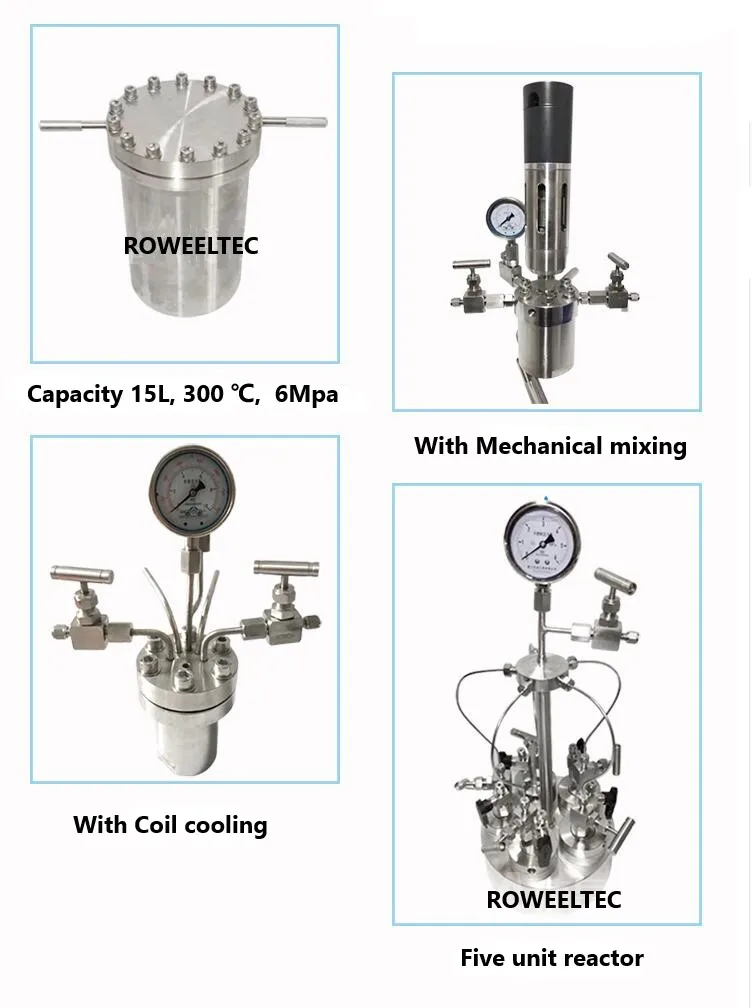 Автоклав с гидротермосинтезирующим реактором камерой из ПТФЭ 100 мл 6 МПа газовым