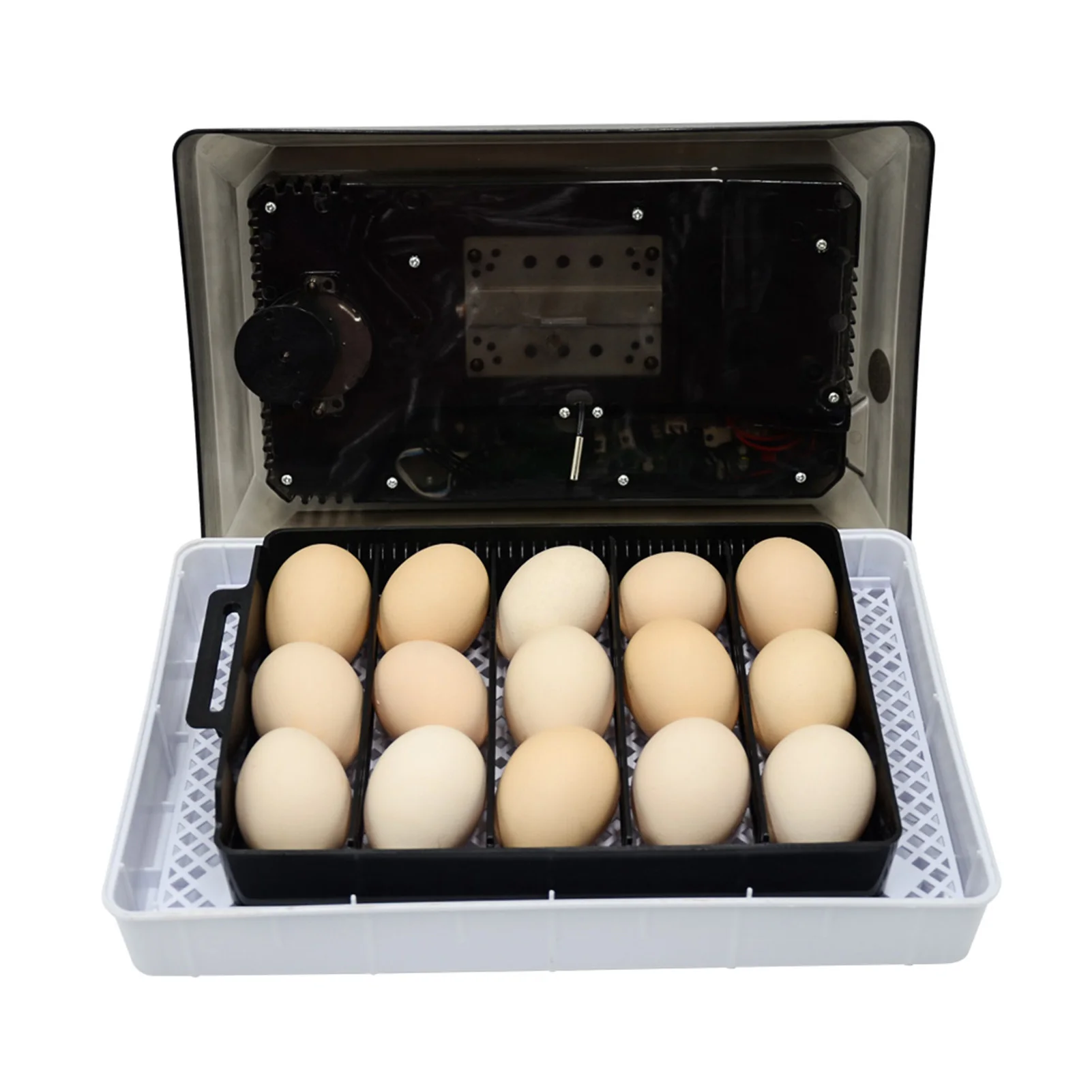 

Egg Incubators Digital Fully Automatic Hatcher for 15 Eggs Chickens Duck Turkey Egg Poultry Eggs Hatcher LED Screen FEA8