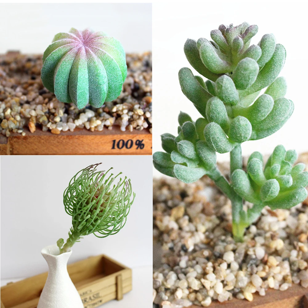 Искусственные мясистые растения Цветочные Мини листва садовый декор