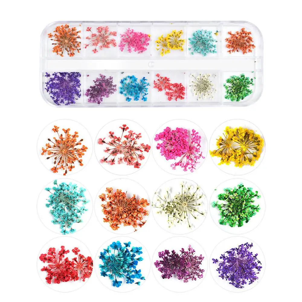 

Nail Art Supplies Dried Flowers 36 Designs 3D Nails Art Accessories Pressed Flowers For Nail Art Decoration 3 Boxes