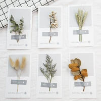 14x8cm dried flower plant card valentines day gift blessing birthday creative card photo wall booth props party decoration