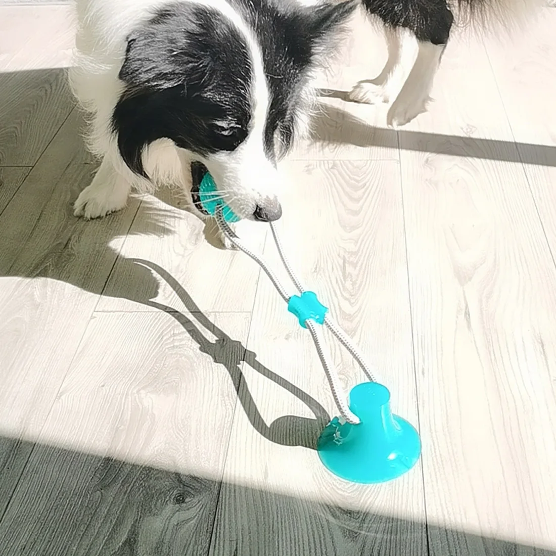 

Rubber Toys Interactive Pet Toys with Suction Cup Bite toys tooth Clean Chewing Toys Adjustable