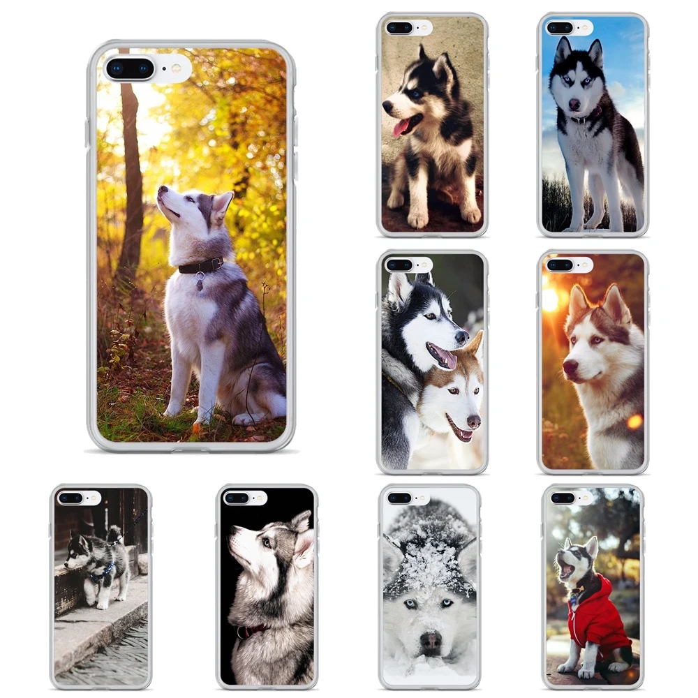 Мягкий прозрачный чехол для Meizu M2 M3 M5 M6 NOTE M6t MX6 M3S M5S M6S Pro 5 6 Plus U20 Pretty Siberian Husky Dogs |