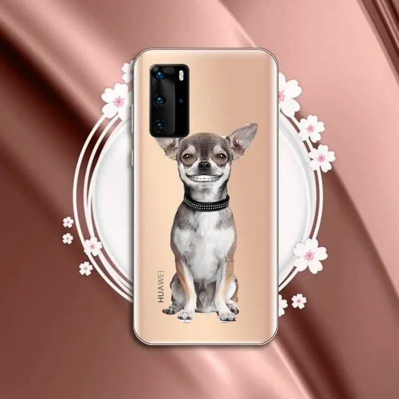 

Chihuahua Dog Cute animal luxury mobile cover Phone Case Transparent for Huawei P honor 8 10i 20 30 40 smart 2019