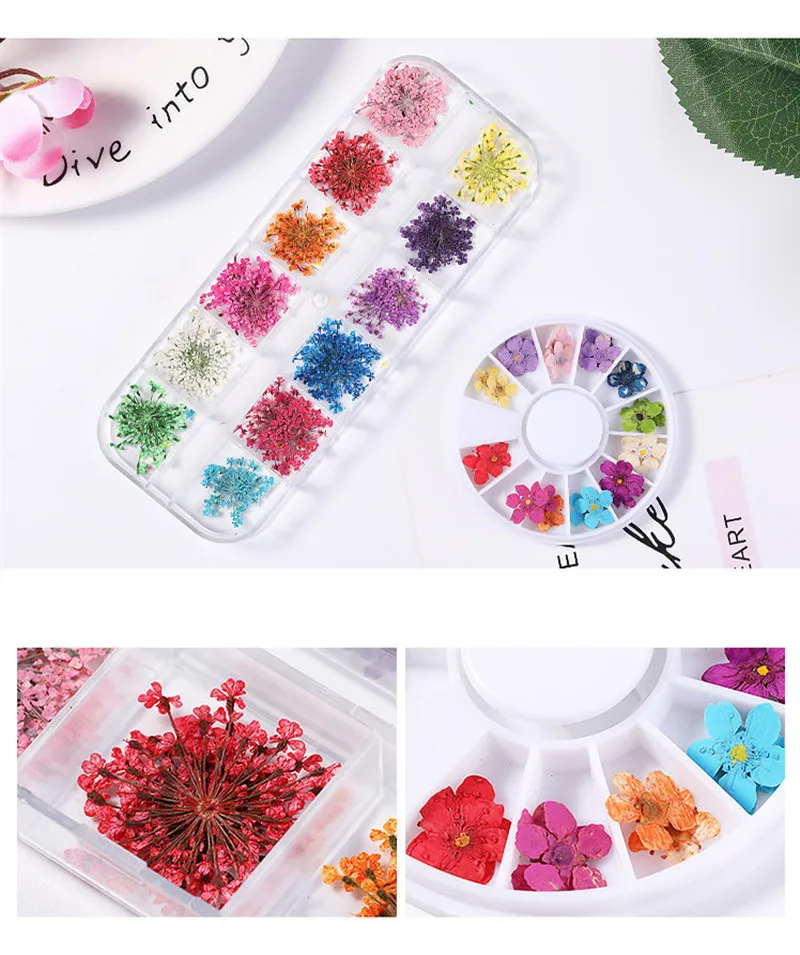 

1 box 12 Colors 24pcs Dried Flower Gypsophila Daffodil Five petals Dried Flower Round box and Long box nail accessories