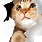 3D искусственная комната для украшения дома милые животные наклейки Креативные обои для гостиной в эстетике