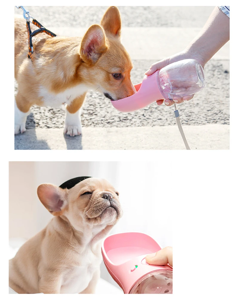 Умная автоматическая кормушка для домашних животных кошки щенка|Кормление