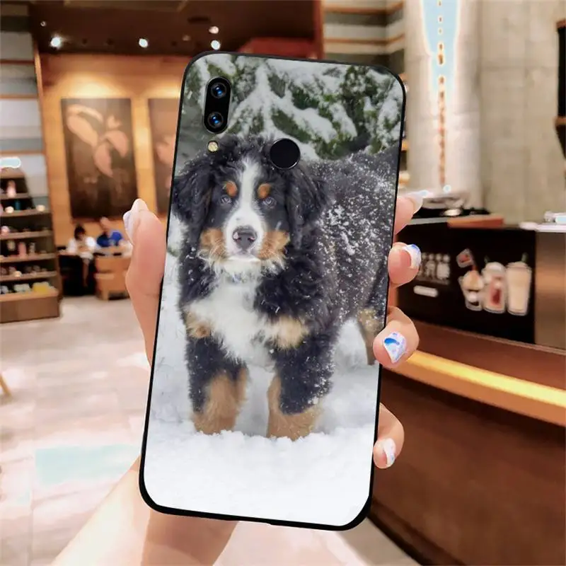 

Bernese Mountain Dog fashion fundas Phone Case For Xiaomi Redmi note 7 8 9 t k30 max3 9 s 10 pro lite